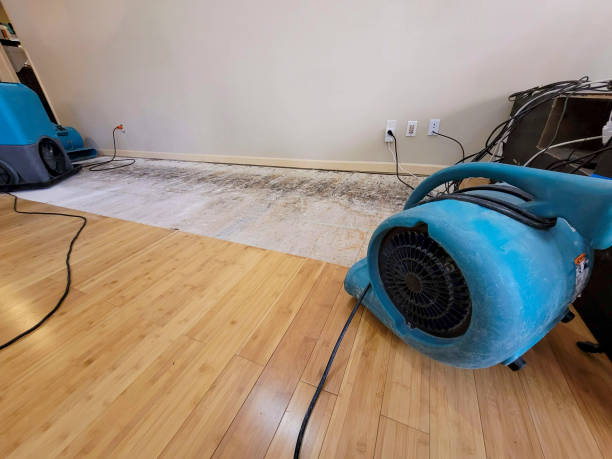 Professional Basement Flood Cleanup technician working in Hayden, CO